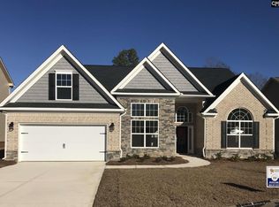 217 Chapin Brook Ct, Chapin, SC 29036