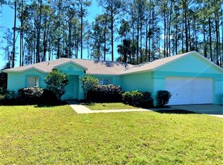 10 Pointer Pl, Palm Coast, FL 32164