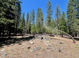 38 Tolowa Trl, Graeagle, CA 96103