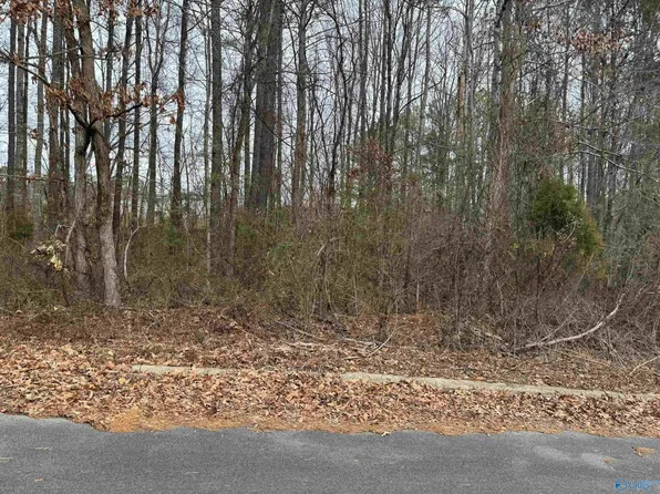 10-11 Twelve Cade Cir, Leesburg, AL 35983