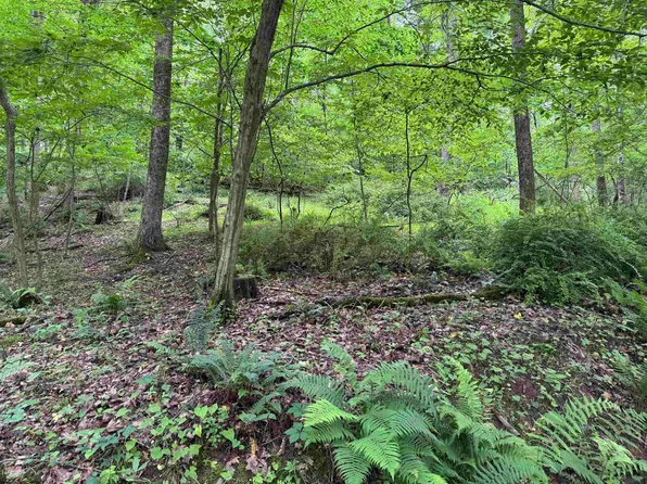 Harvest Dr, Fairmont, WV 26554