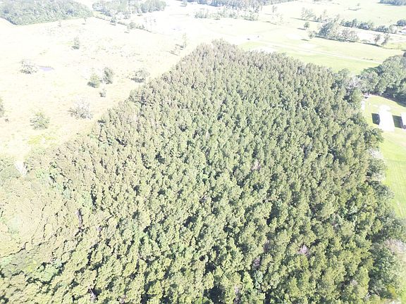 4th image of 0 Critter Cove Ln Lot D