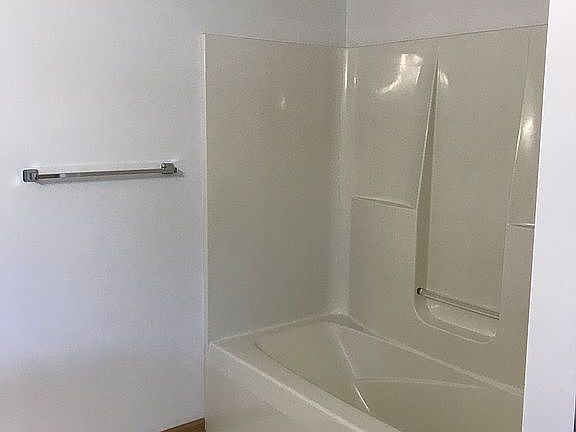 Master bathroom tub