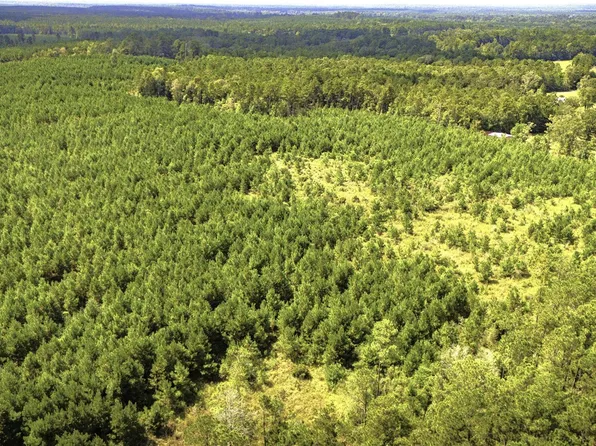 Stutts Hill Rd, Livingston, TX 77351