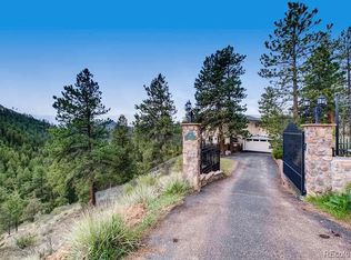 28 Zip Ln, Bailey, CO 80421