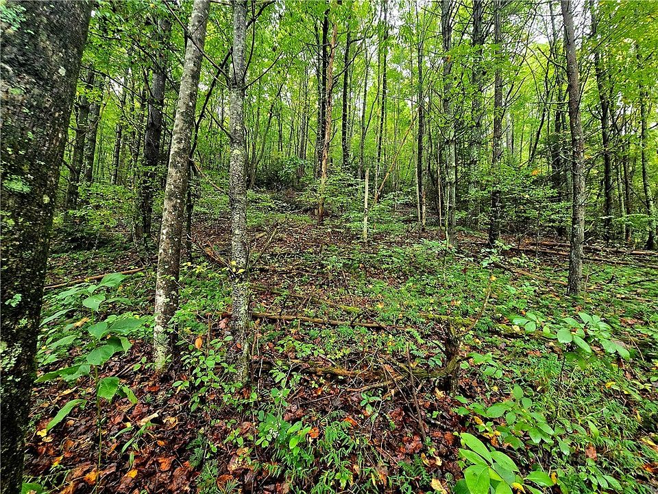 2nd image of Lot 7 N. Old NC Hwy 16