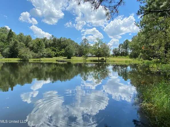 65 Farmer Rd, Perkinston, MS 39573