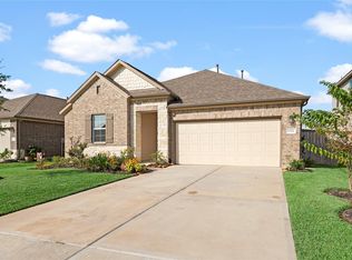 17111 Daylily Dune Way, Hockley, TX 77447