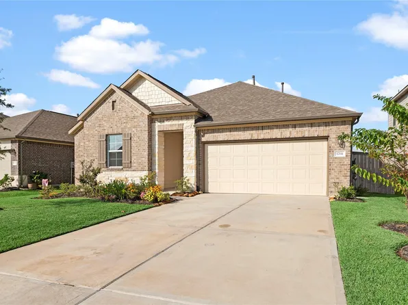 17111 Daylily Dune Way, Hockley, TX 77447