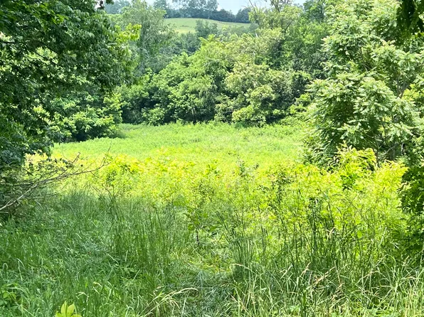 0 Martin Rd, Limestone, TN 37681