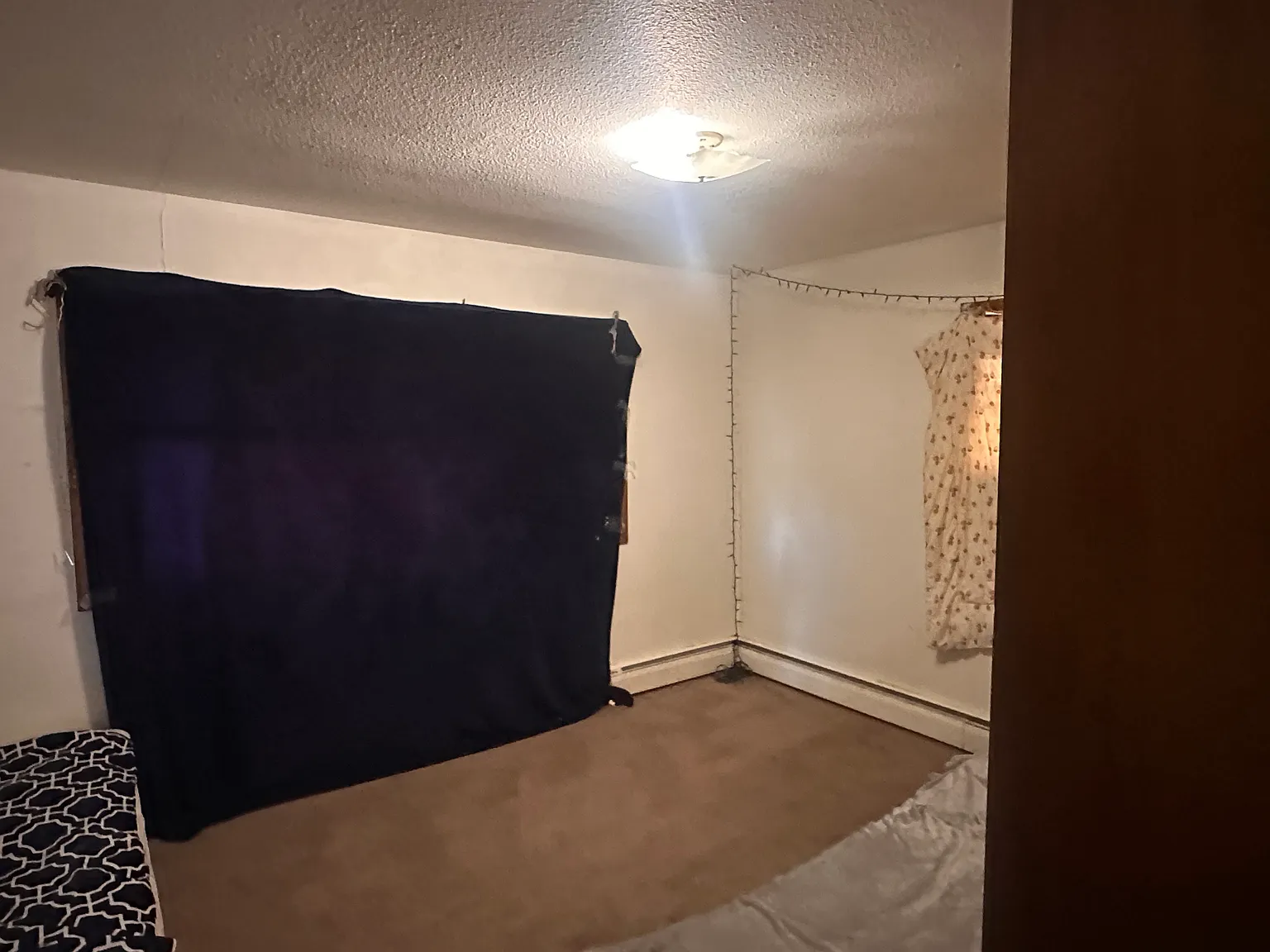 1 bed, $950 — Photo 4