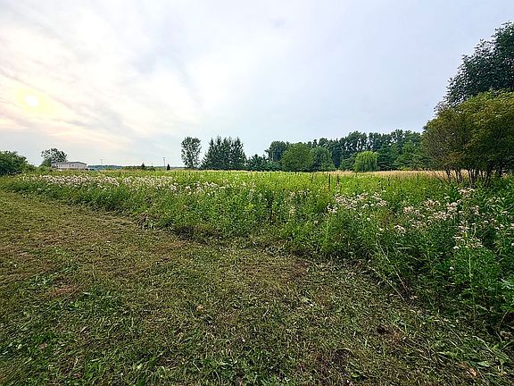 Front Field