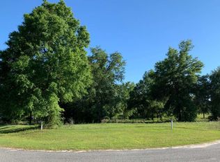 668 SW Mandiba Dr, Lake City, FL 32024