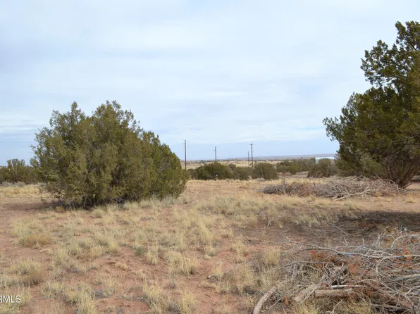 Lot 020D E 24th North Street #020D, Snowflake, AZ 85937