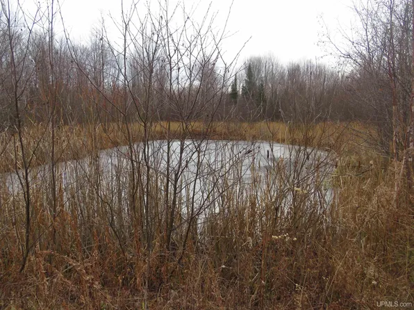 35589 Hibbeln Rd, Ontonagon, MI 49953