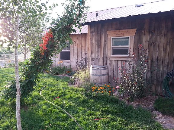 side yard in summer