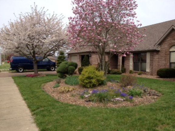 3rd image of 4125 Mayflower Dr