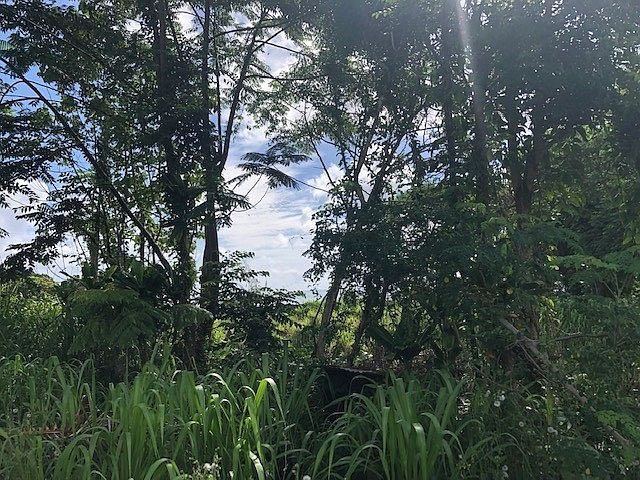 1st image of 25 Ohana Pl Lot 23