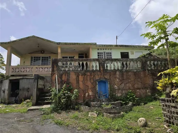 State Highway 156 Km 6.0 Parcel 49 Botijas Ward #2, Orocovis, PR 00720