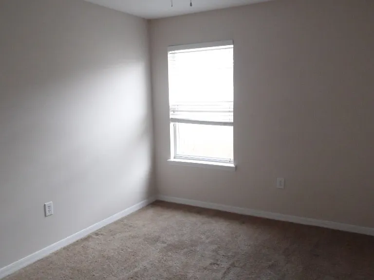 4005 Pemberly Pines Cir — Photo 12
