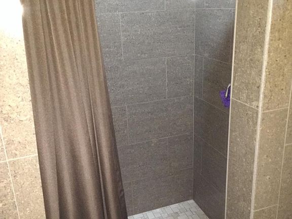 Master walk in shower