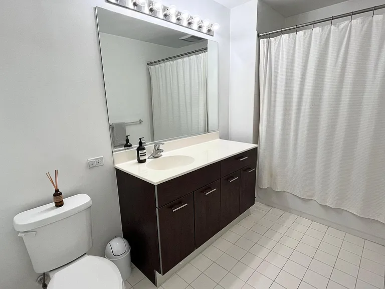 659 W Randolph St #1217 — Photo 9