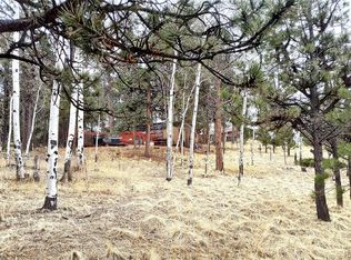 103 Adair Circle, Florissant, CO 80816