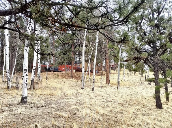 103 Adair Circle, Florissant, CO 80816