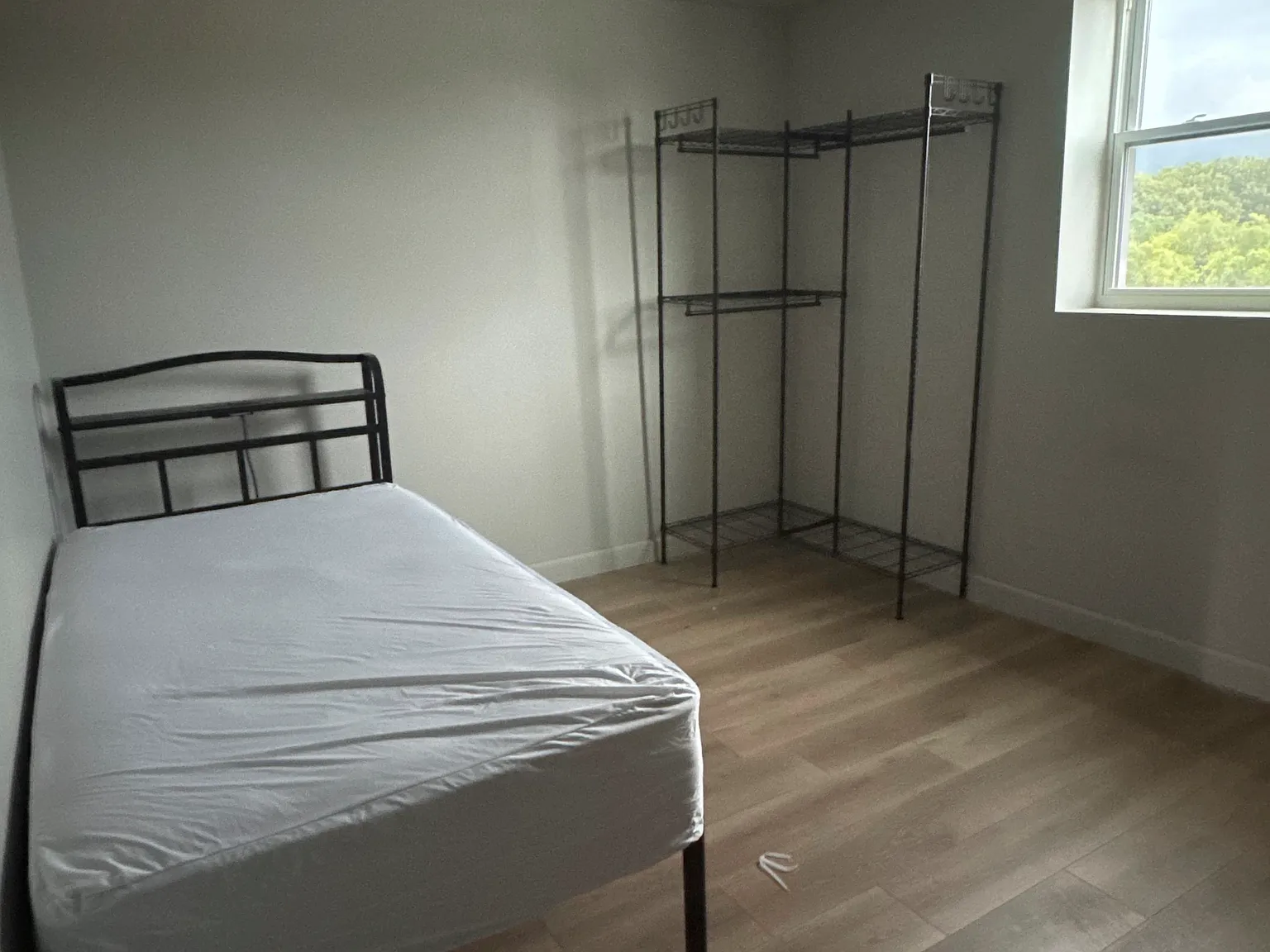 Studio, 150 sqft, $700 — Photo 3