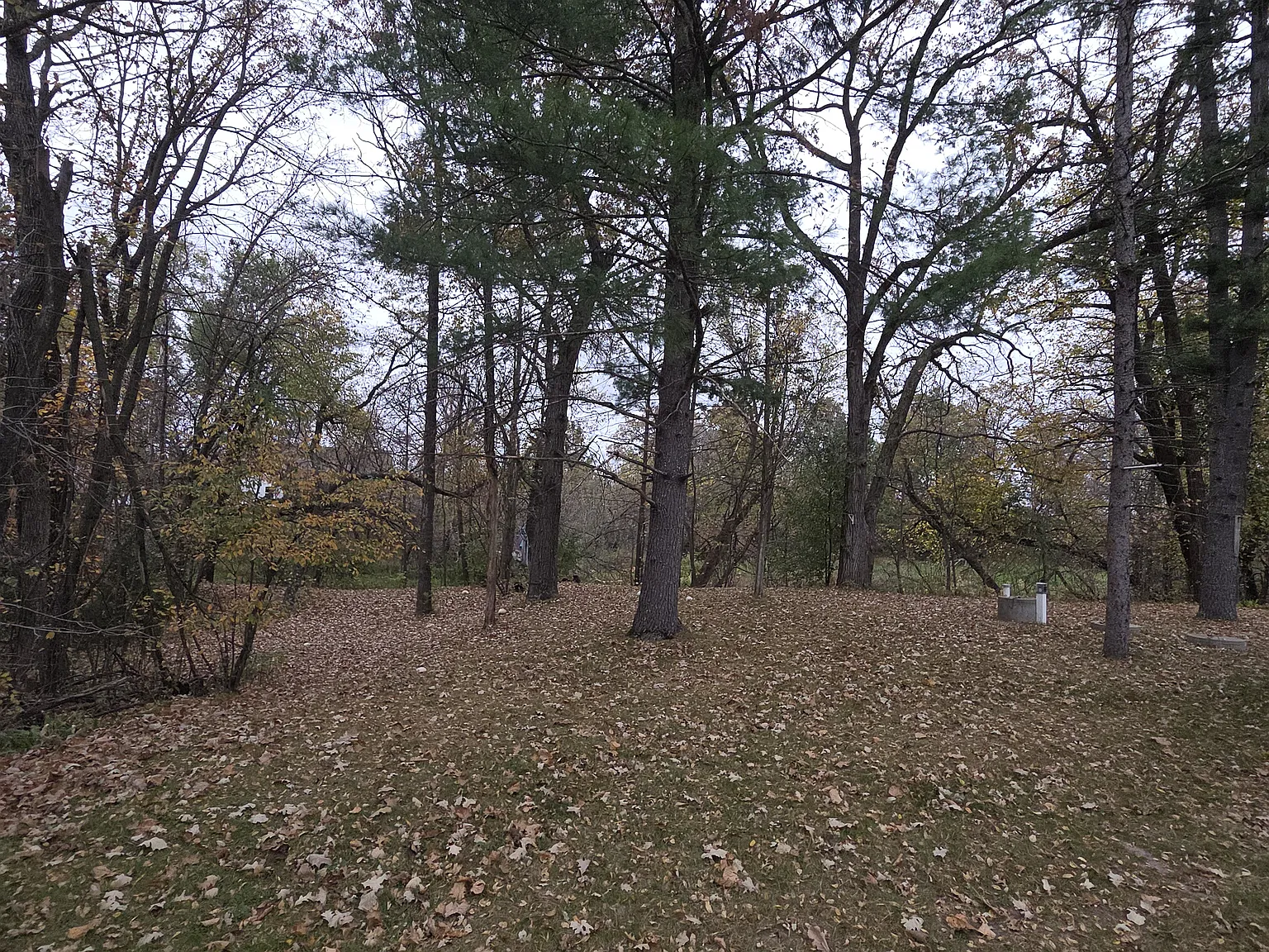 2 bed, 908 sqft, $1,500 — Photo 4