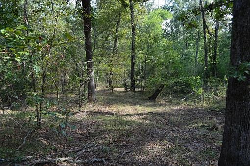 3rd image of 21800 Bobcat Ln