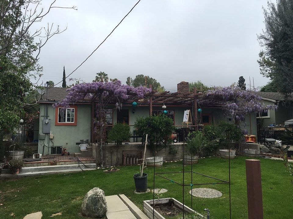 Back yard