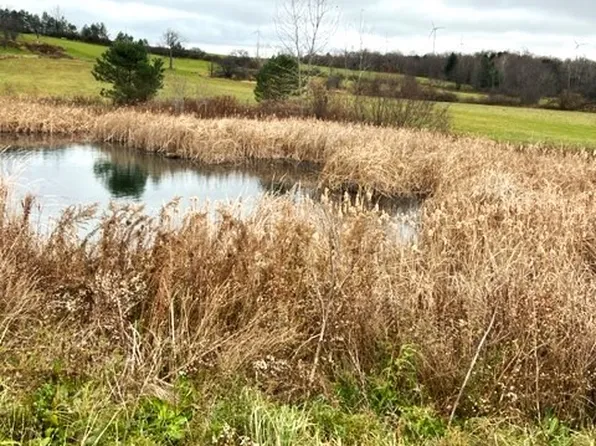 1 Casler Rd #22, Little Falls, NY 13365