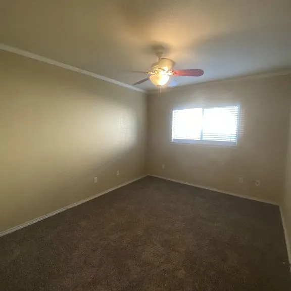 714 Black Hills Trl — Photo 23