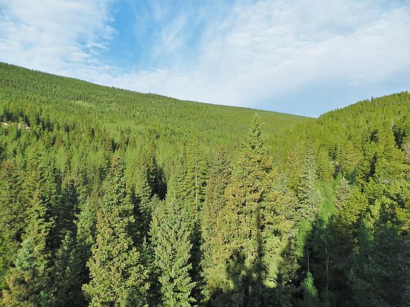 3rd image of Tbd Cub Creek Trl