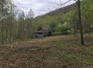 99999 Haw Branch Rd, Barnardsville, NC 28709