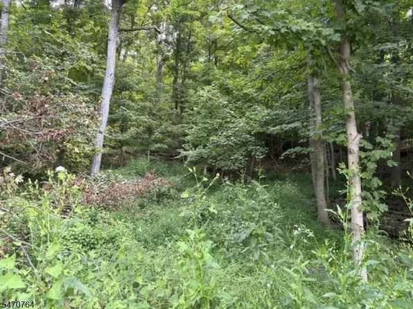 148 Tumble Falls Rd, Kingwood Twp., NJ 08559