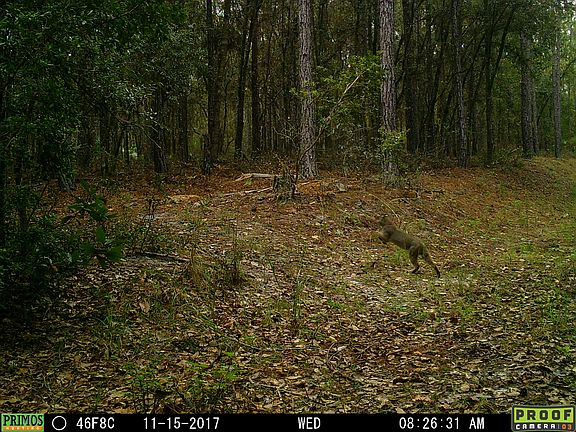 4th image of Deep Creek Plantation Settindown Dr