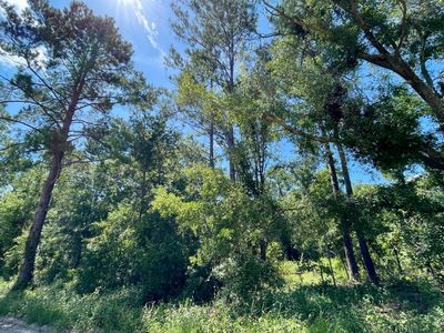 LOT 7 162nd Ter, Mc Alpin, FL, 32062