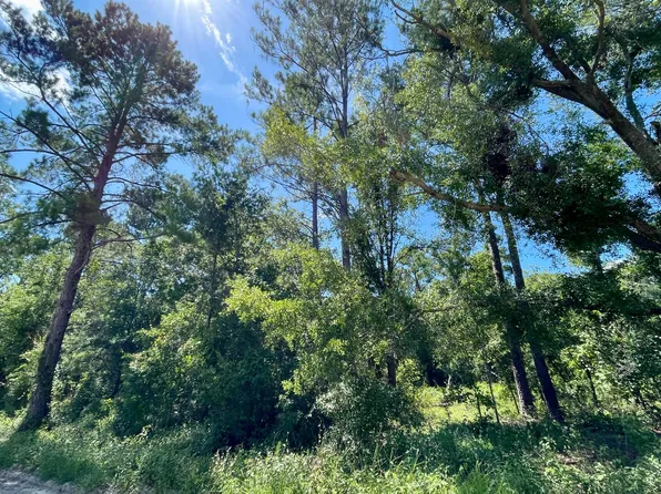 LOT 7 162nd Ter, Mc Alpin, FL 32062