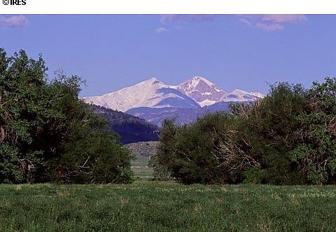 3rd image of 1868 Preserve Dr