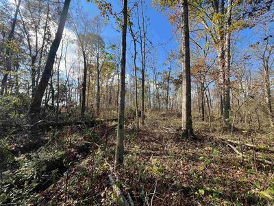 0 Palestine Rd, Pocahontas, AR, 72455