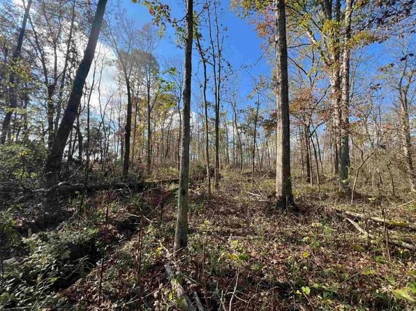 0 Palestine Rd, Pocahontas, AR 72455