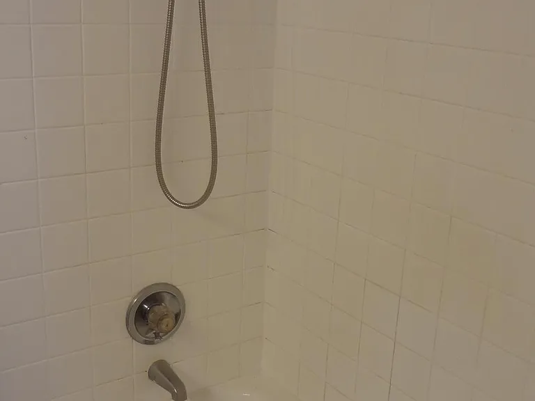 Hall Bathroom
