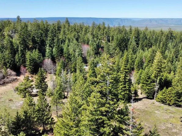 2138 Six Old White Bird Hill Rd #P, Grangeville, ID 83530