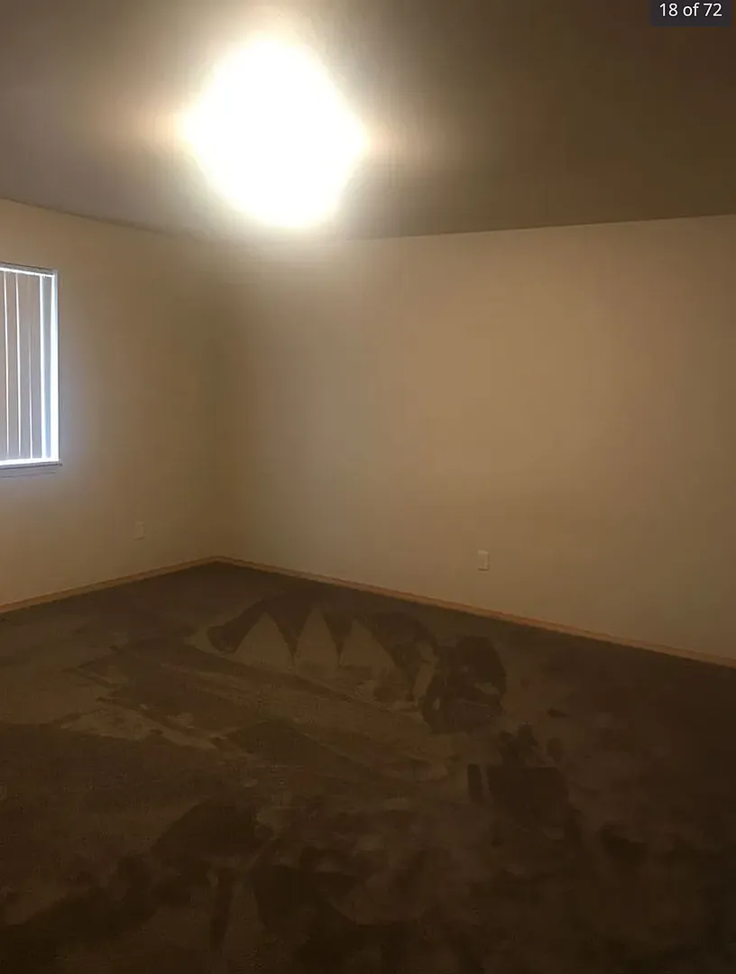Beautiful 3 Bedroom Home in Belgrade — Photo 4
