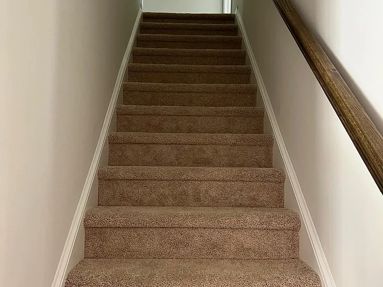 7014 Saddlebred Dr — Photo 17