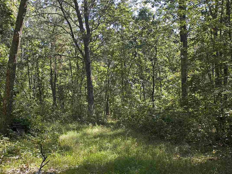 2nd image of L5 10th Ln