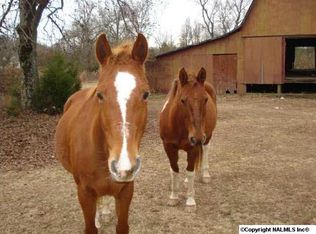 Joe Quick Rd, Hazel Green, AL 35750