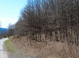 109 Sunrise Sunset Dr, Jefferson, NY 12093